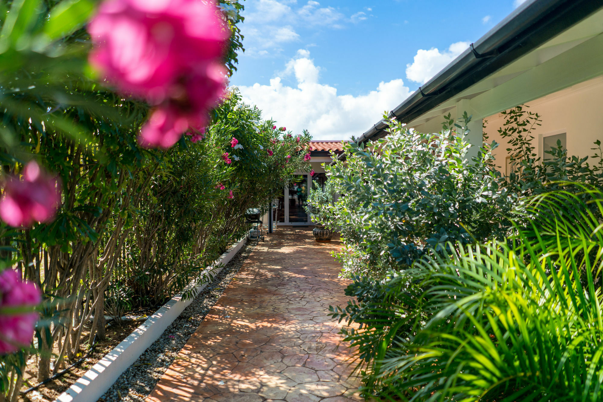 Hotel Cas Elizabeth Palm Beach Esterno foto